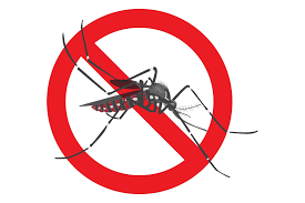 Dengue: Saiba Quando Procurar Atendimento Médico